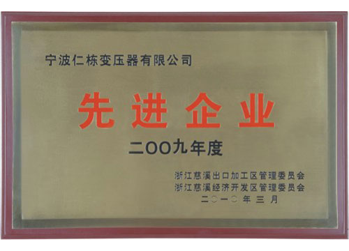 2009年度慈溪市先進企業(yè)
